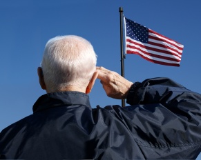 veterans day 2024 and home care services