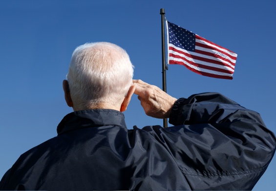 veterans day 2024 and home care services