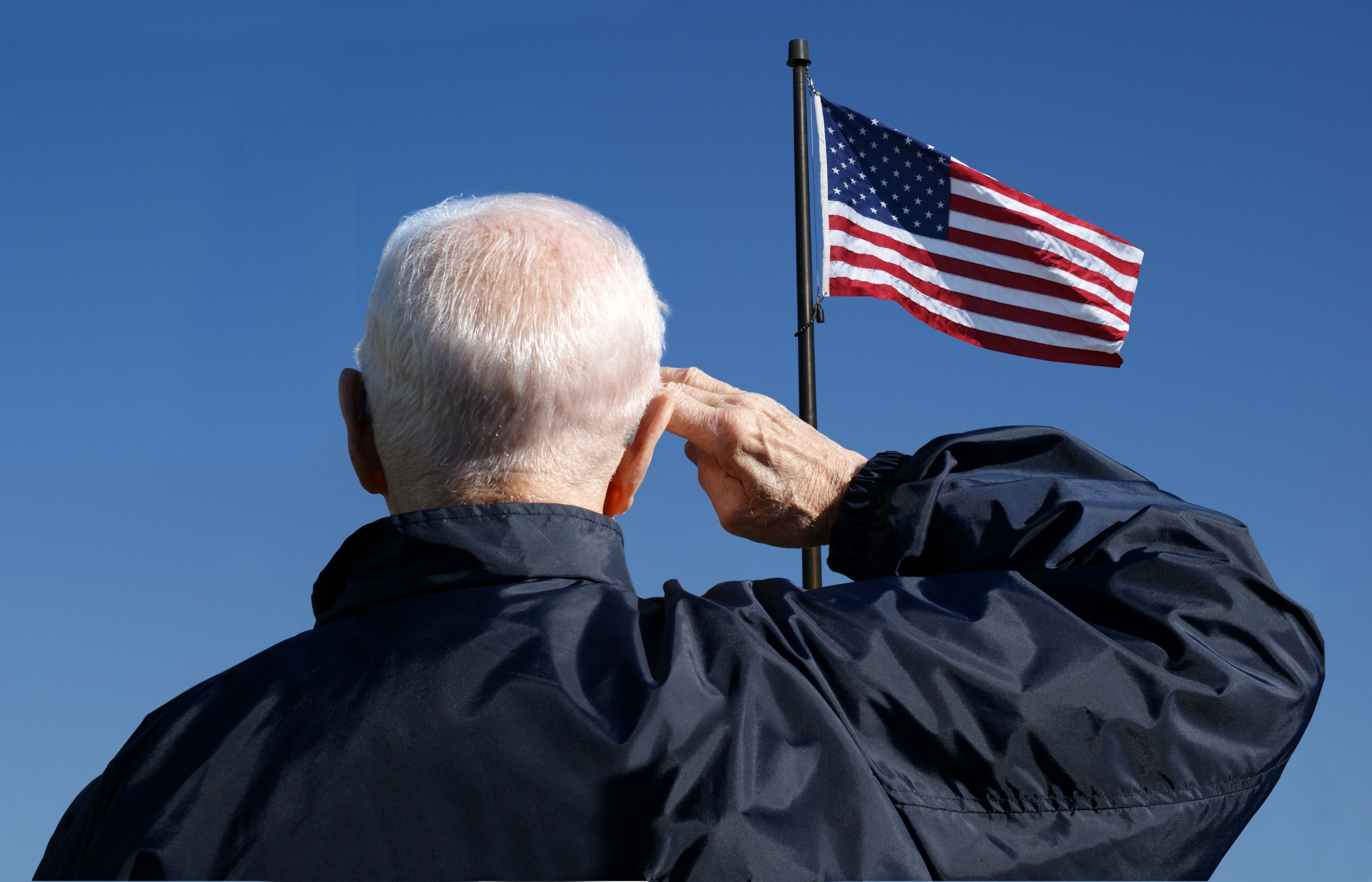 veterans day 2024 and home care services